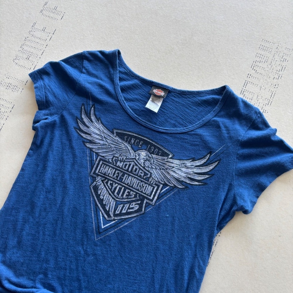 Y2K Harley Davidson‎ T-shirt Viking Land Minnesota Graphic Tee Blue Medium